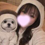 ヒメ日記 2026/01/11 06:36 投稿 しずく 三浦屋別館