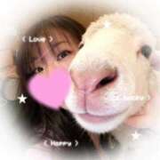 ヒメ日記 2026/01/12 08:56 投稿 しずく 三浦屋別館