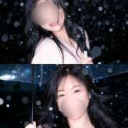 ヒメ日記 2026/01/17 08:56 投稿 しずく 三浦屋別館