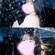 ヒメ日記 2026/01/19 06:16 投稿 しずく 三浦屋別館