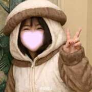 ヒメ日記 2026/01/19 09:01 投稿 しずく 三浦屋別館