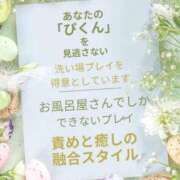 ヒメ日記 2026/01/24 08:01 投稿 しずく 三浦屋別館