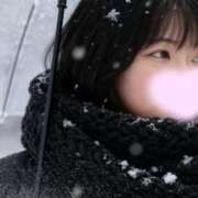 ヒメ日記 2026/02/10 05:16 投稿 しずく 三浦屋別館