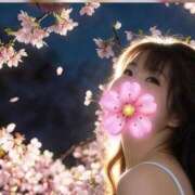 ヒメ日記 2026/03/28 22:36 投稿 しずく 三浦屋別館