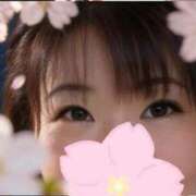 しずく 4月のお知らせ 三浦屋別館