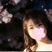 ヒメ日記 2026/03/30 22:56 投稿 しずく 三浦屋別館