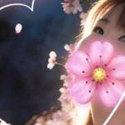 ヒメ日記 2026/04/11 12:16 投稿 しずく 三浦屋別館
