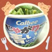 ヒメ日記 2026/04/23 19:36 投稿 しずく 三浦屋別館