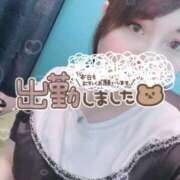 ヒメ日記 2025/09/01 17:46 投稿 しゅうかさん いけない奥さん 十三店