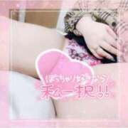 ヒメ日記 2026/05/11 15:23 投稿 しゅうかさん いけない奥さん 十三店