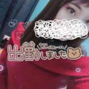 ヒメ日記 2025/02/13 17:58 投稿 しゅうかさん いけない奥さん 梅田店