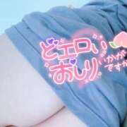 ヒメ日記 2025/02/28 22:58 投稿 しゅうかさん いけない奥さん 梅田店