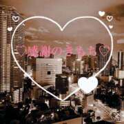 ヒメ日記 2025/05/20 12:49 投稿 しゅうかさん いけない奥さん 梅田店