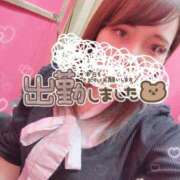 ヒメ日記 2025/10/29 17:58 投稿 しゅうかさん いけない奥さん 梅田店