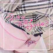 ヒメ日記 2026/02/25 15:28 投稿 しゅうかさん いけない奥さん 梅田店