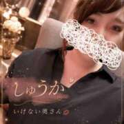 ヒメ日記 2026/07/27 18:02 投稿 しゅうかさん いけない奥さん 梅田店