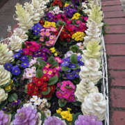 ヒメ日記 2025/04/26 12:48 投稿 みつき 奥鉄オクテツ奈良