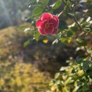 ヒメ日記 2025/05/09 16:22 投稿 みつき 奥鉄オクテツ奈良