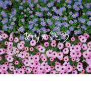 ヒメ日記 2025/05/14 20:07 投稿 みつき 奥鉄オクテツ奈良