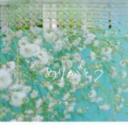 ヒメ日記 2025/05/17 13:59 投稿 みつき 奥鉄オクテツ奈良