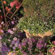 ヒメ日記 2025/05/17 09:39 投稿 ことみ 奥様の実話 梅田店