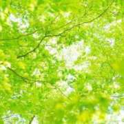 ヒメ日記 2025/07/29 09:17 投稿 ことみ 奥様の実話 梅田店