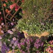 ヒメ日記 2025/10/20 20:46 投稿 ことみ 奥様の実話 梅田店