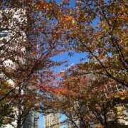 ヒメ日記 2025/11/12 10:31 投稿 なつ One More 奥様　五反田店