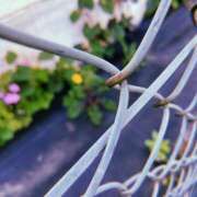 ヒメ日記 2026/03/21 16:34 投稿 岡本みやび RISPA