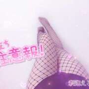 ヒメ日記 2025/04/17 06:05 投稿 釈迦 BBW札幌店