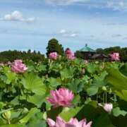 ヒメ日記 2025/07/26 11:52 投稿 香苗ゆい(かなえゆい) 東京ヒストリー　秘密の約束