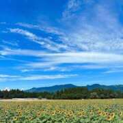 ヒメ日記 2025/09/04 13:22 投稿 香苗ゆい(かなえゆい) 東京ヒストリー　秘密の約束