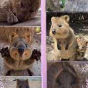 ヒメ日記 2025/09/09 00:12 投稿 香苗ゆい(かなえゆい) 東京ヒストリー　秘密の約束