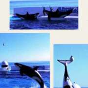 ヒメ日記 2025/09/14 00:12 投稿 香苗ゆい(かなえゆい) 東京ヒストリー　秘密の約束