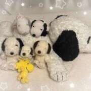 ヒメ日記 2025/11/25 00:52 投稿 香苗ゆい(かなえゆい) 東京ヒストリー　秘密の約束