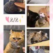 ヒメ日記 2026/02/02 18:52 投稿 香苗ゆい(かなえゆい) 東京ヒストリー　秘密の約束