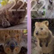 ヒメ日記 2026/02/24 10:02 投稿 香苗ゆい(かなえゆい) 東京ヒストリー　秘密の約束