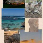 香苗ゆい(かなえゆい) 仲間はずれ1枚　見つけてね(⁎⁍̴̛ᴗ⁍̴̛⁎) 東京ヒストリー　秘密の約束