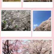 香苗ゆい(かなえゆい) 🌸桜🌸 東京ヒストリー　秘密の約束