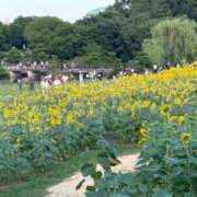 ヒメ日記 2024/08/05 21:33 投稿 花音 池袋角海老