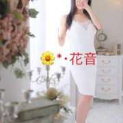 ヒメ日記 2025/06/17 21:13 投稿 花音 池袋角海老