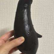 ヒメ日記 2025/07/17 19:23 投稿 花音 池袋角海老