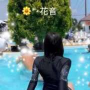 ヒメ日記 2025/08/05 11:13 投稿 花音 池袋角海老