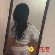 ヒメ日記 2025/09/03 11:23 投稿 花音 池袋角海老