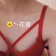 ヒメ日記 2025/10/14 21:10 投稿 花音 池袋角海老