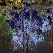 ヒメ日記 2025/11/12 16:53 投稿 花音 池袋角海老