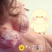 ヒメ日記 2025/11/26 11:13 投稿 花音 池袋角海老