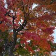 花音 明日出勤！ 池袋角海老