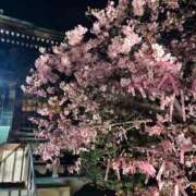 ヒメ日記 2026/02/24 20:53 投稿 花音 池袋角海老