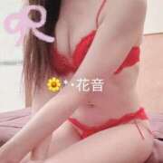 花音 本日終了！次回 池袋角海老